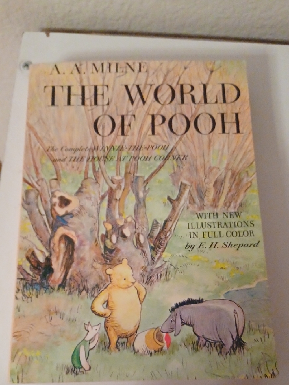The World of Pooh Illustrated A.A. Milne E.h. Shepard Paperback Great Condition